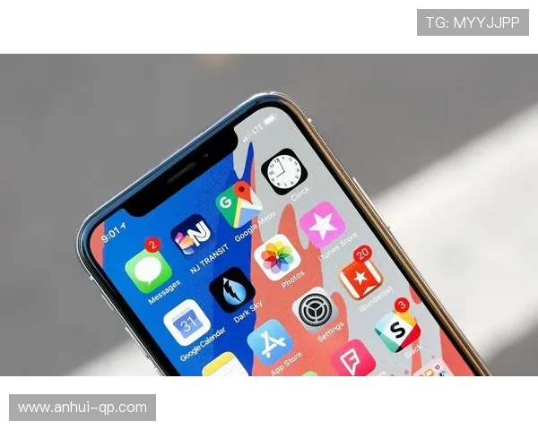解析国际云顶yd4008app网址的安全性，保护用户隐私