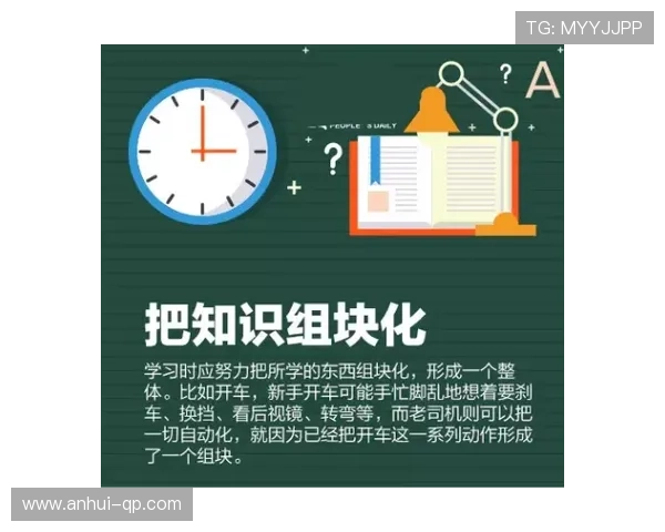 龙虎28投注技巧大全，助你轻松掌握各种投注策略